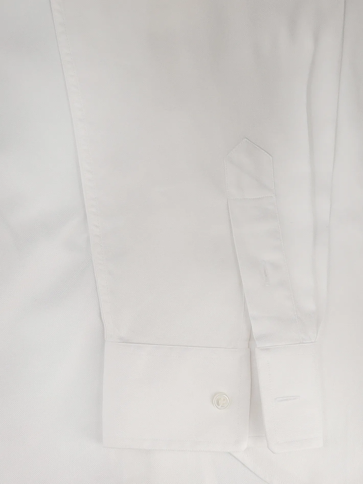 medusa oxford shirt