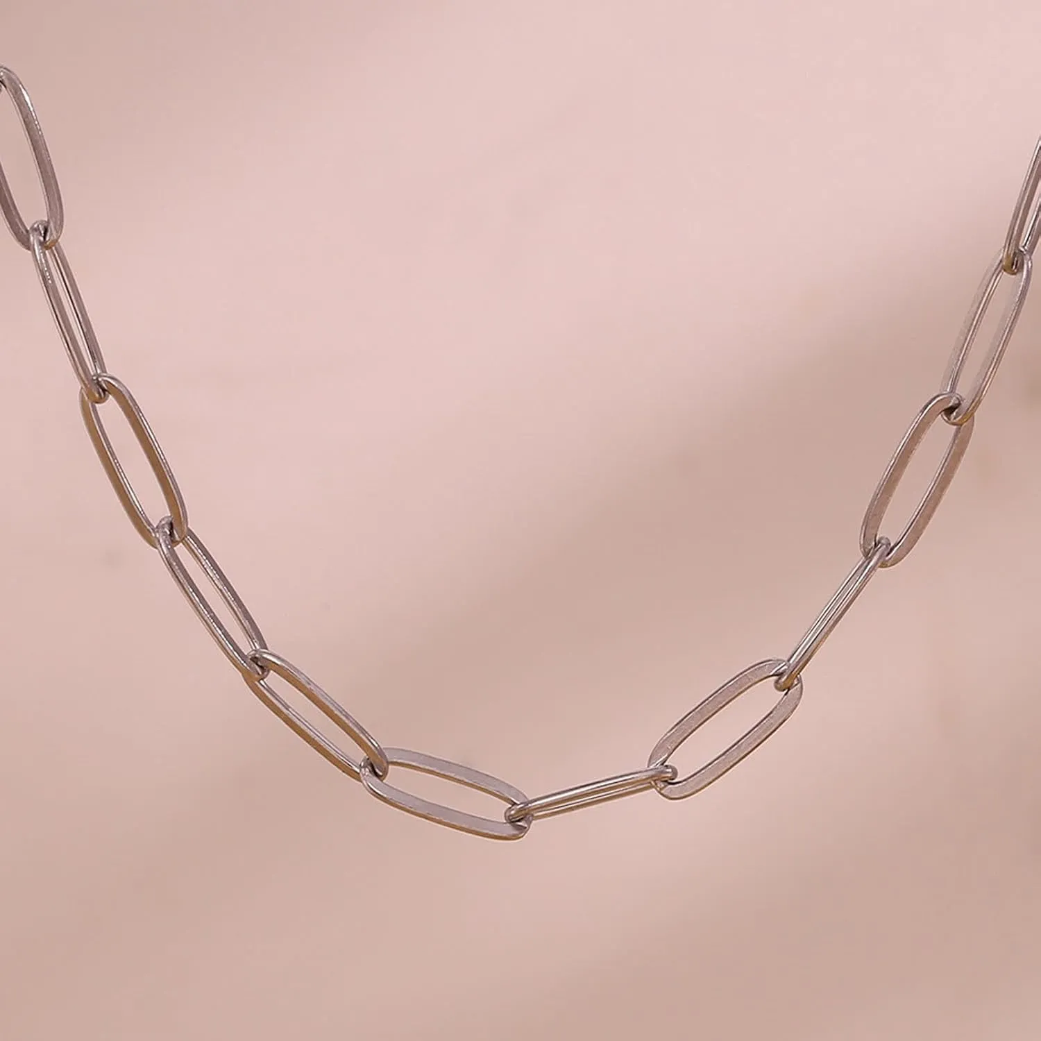 Roe Dolph Paperclip Chain Necklace for Women Gold Link Chain Necklace Trendy Layered Necklace Minimalist Choker Necklaces Jewelry Gift