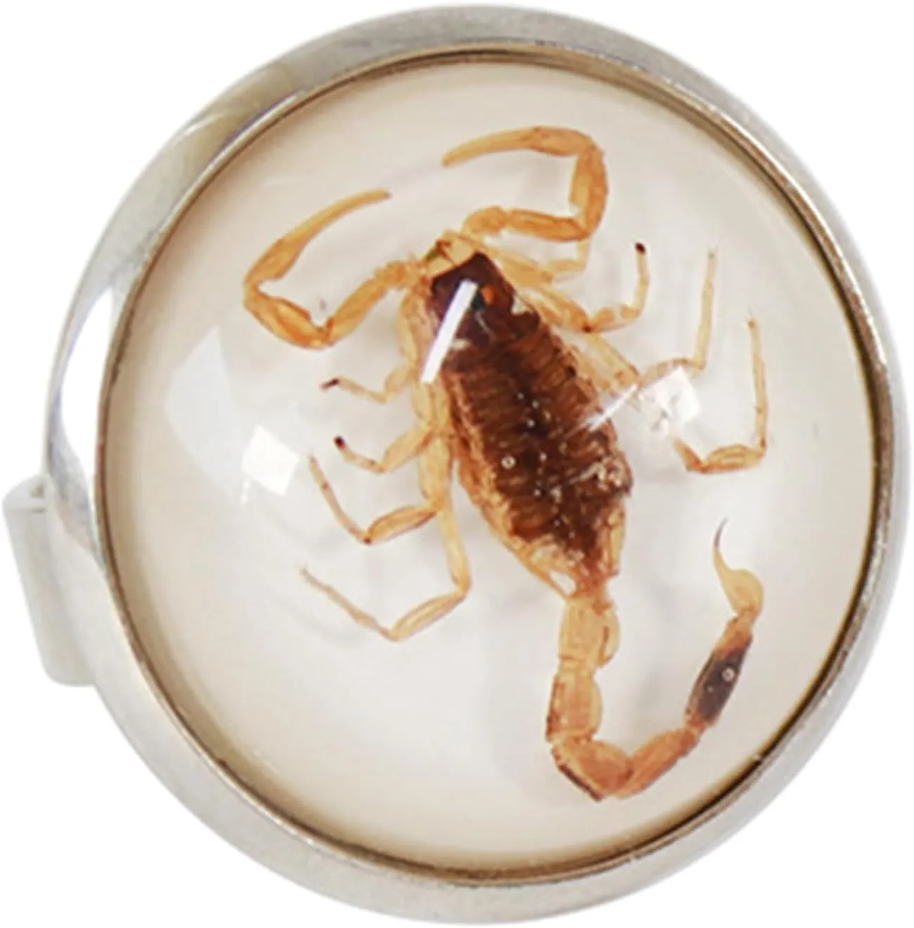 Stylish Round Scorpion Rings Adjsuatble Opening Rings Resin Statement Unique Finger Jewellery Trendy Couple Gift